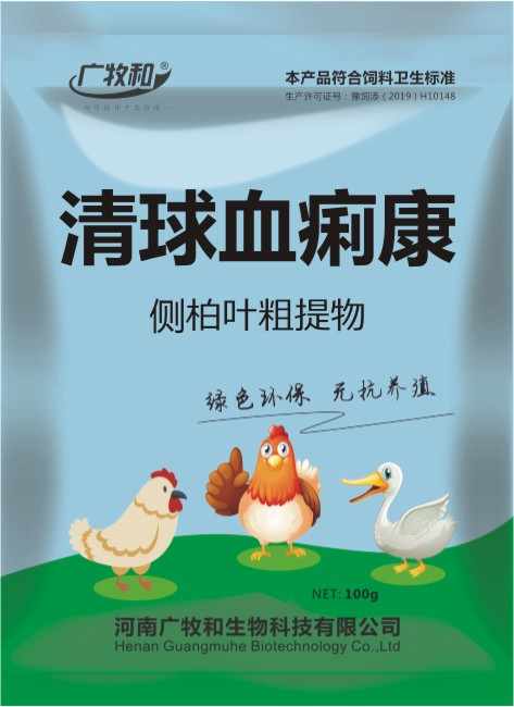 19.jpg 19.jpg